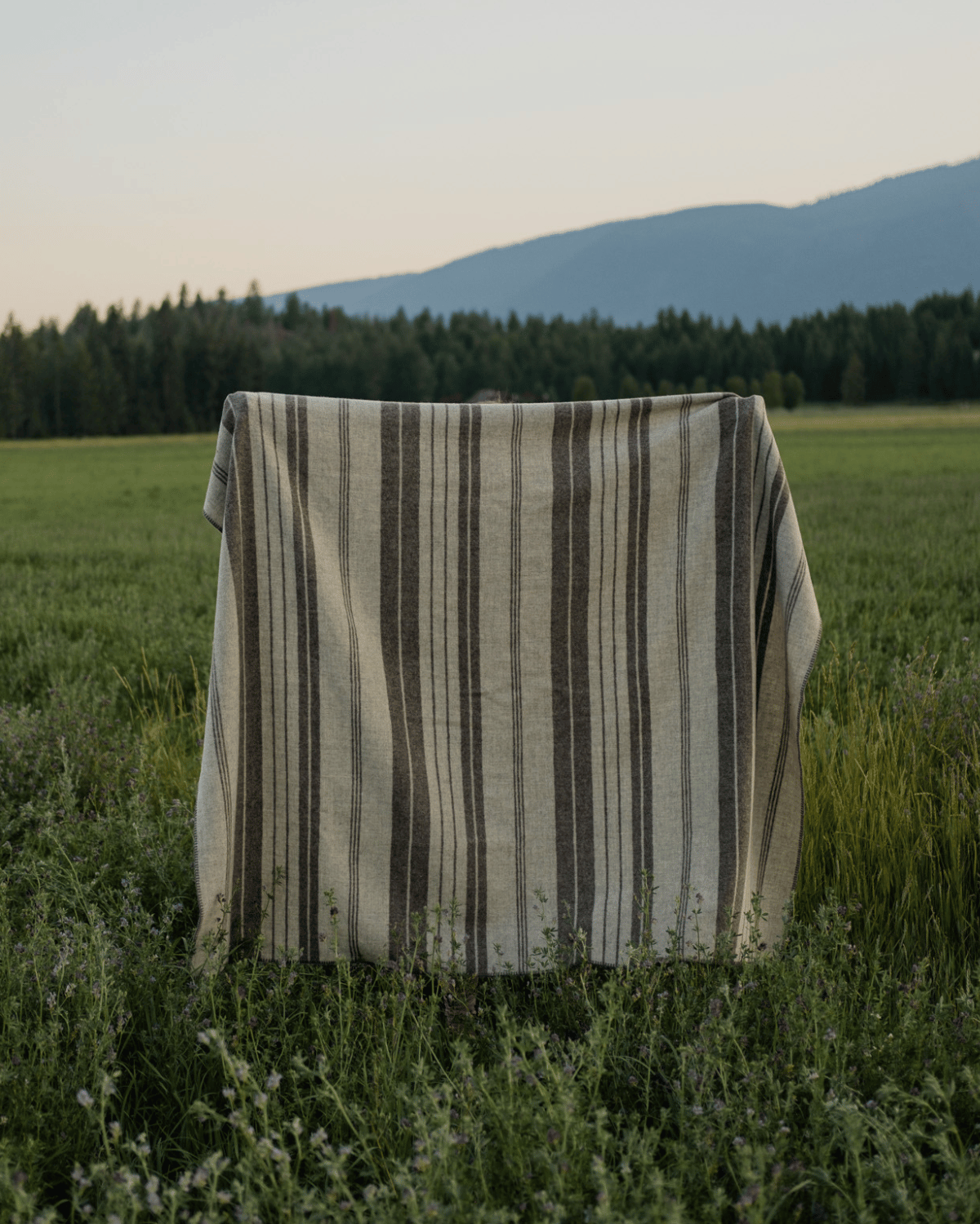 The Mohair Throw Blanket