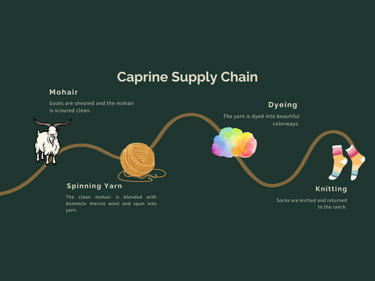 Caprine's Mohair Sock Supply Chain