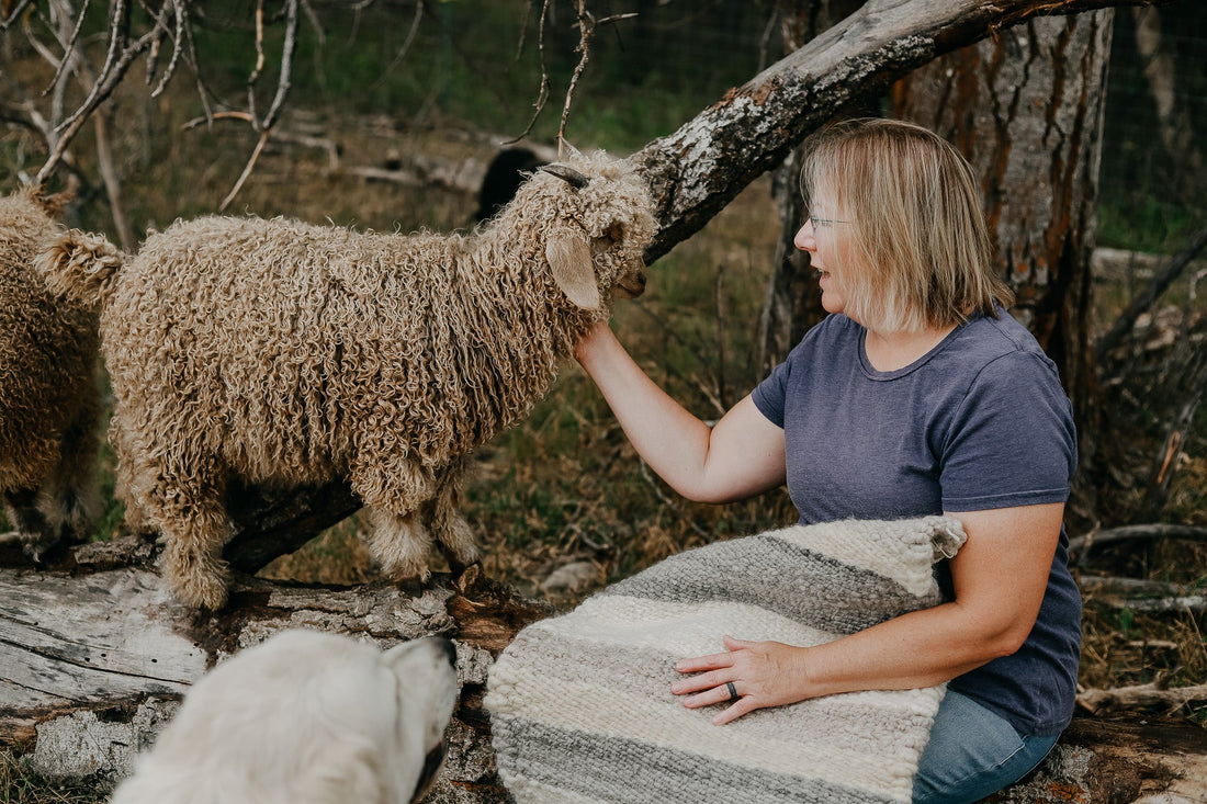 Shearing Season, My 61st Birthday, and Celebrating Women