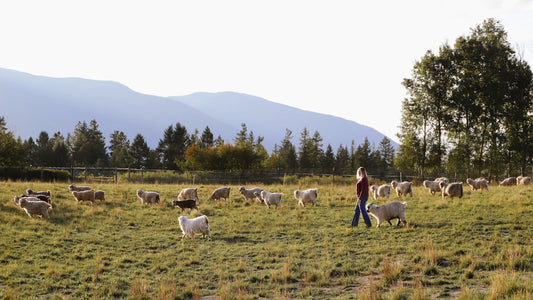 Welcome to our first edition of Letters from the Ranch!