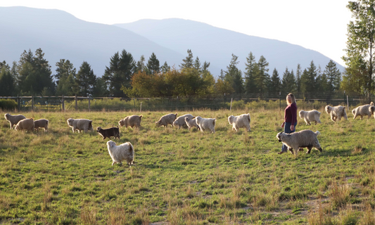 Honoring Rose, Kidding Season, Natural Colored Mohair