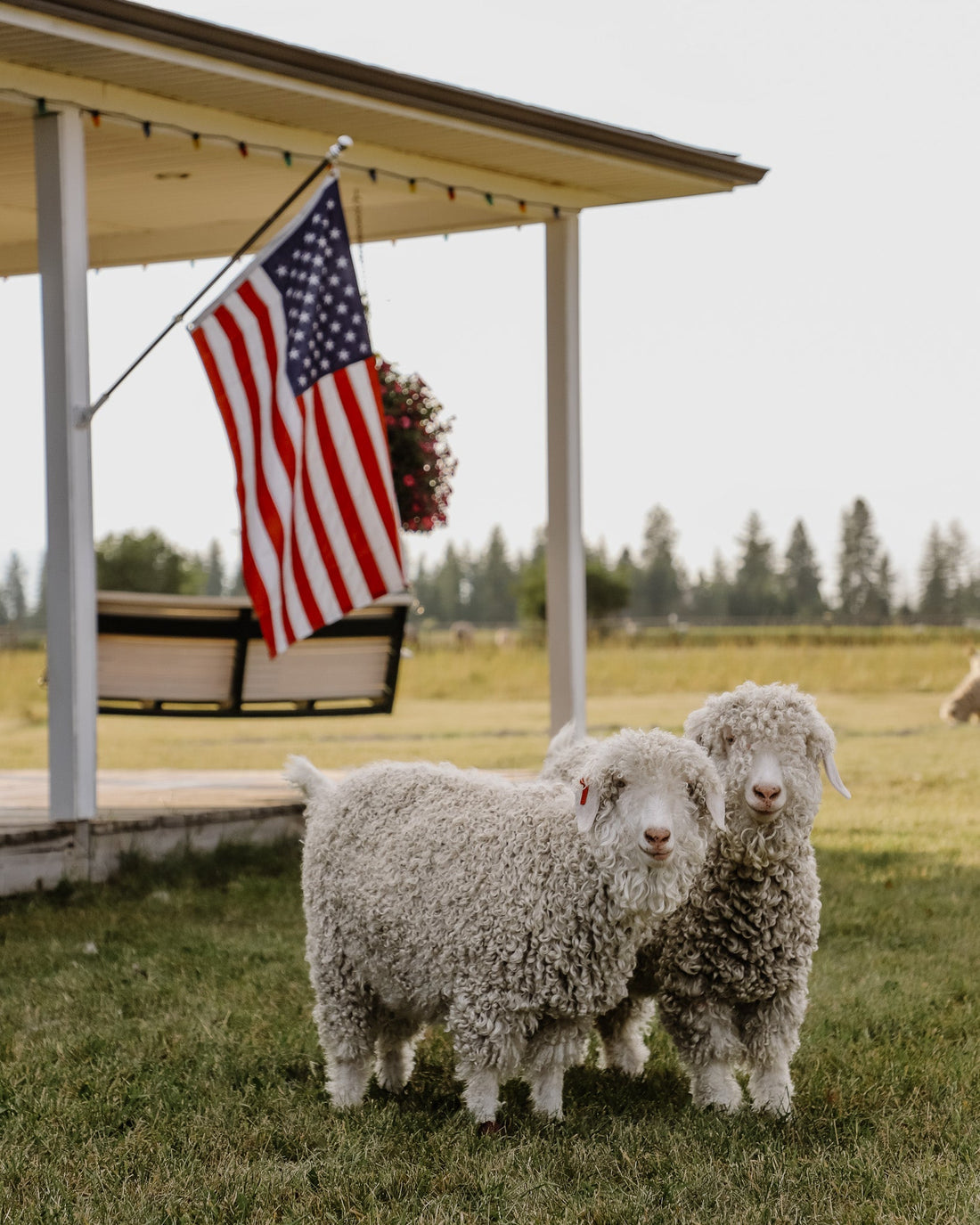 Labor Day, Hiking, and the Importance of Shopping Small