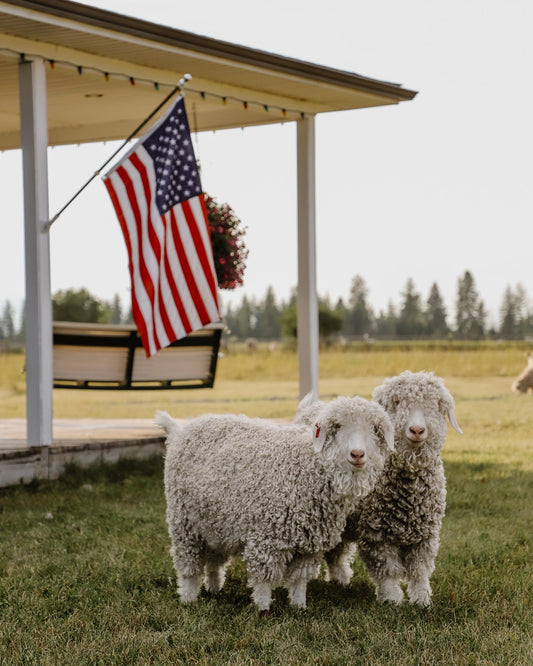Labor Day, Hiking, and the Importance of Shopping Small