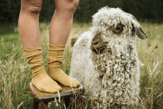 Elevating Traditional Wool Socks with Mohair