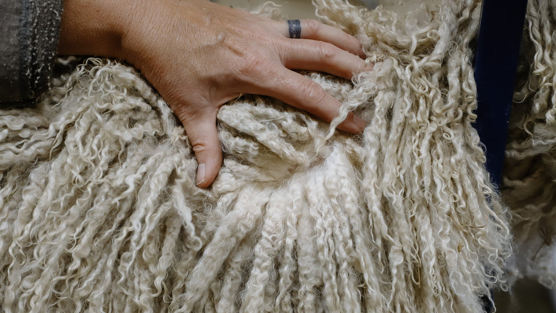 Welcoming Autumn, Shearing Angora Goats, and Mohair