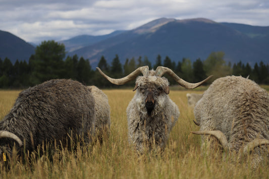 Before Organic and Sustainable Became Trendy Buzzwords...