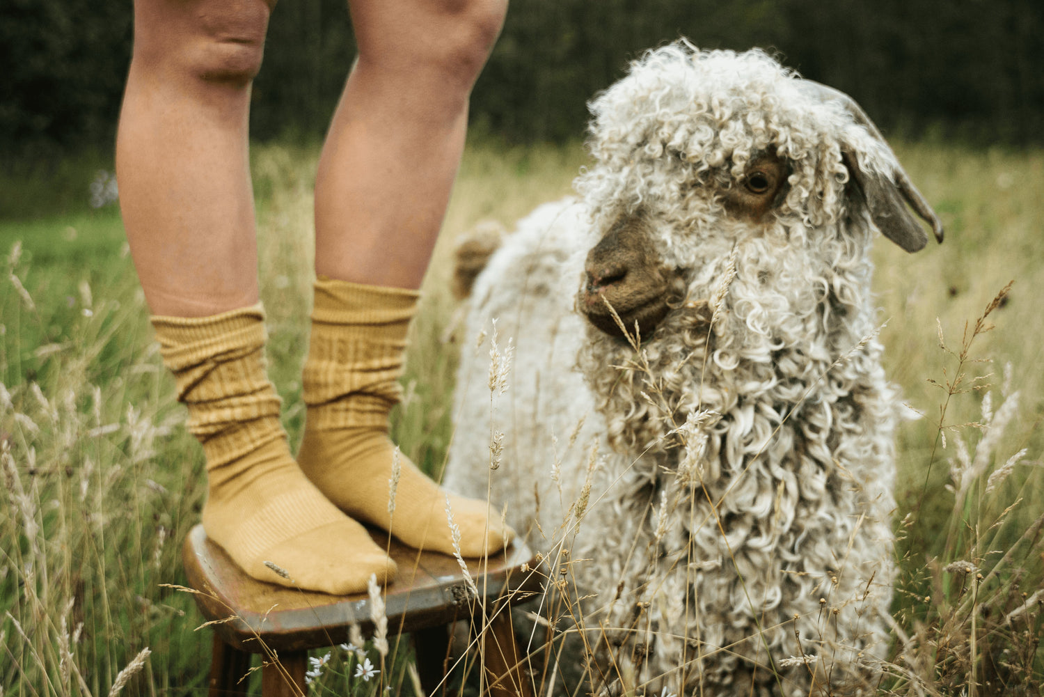 Lightweight Socks