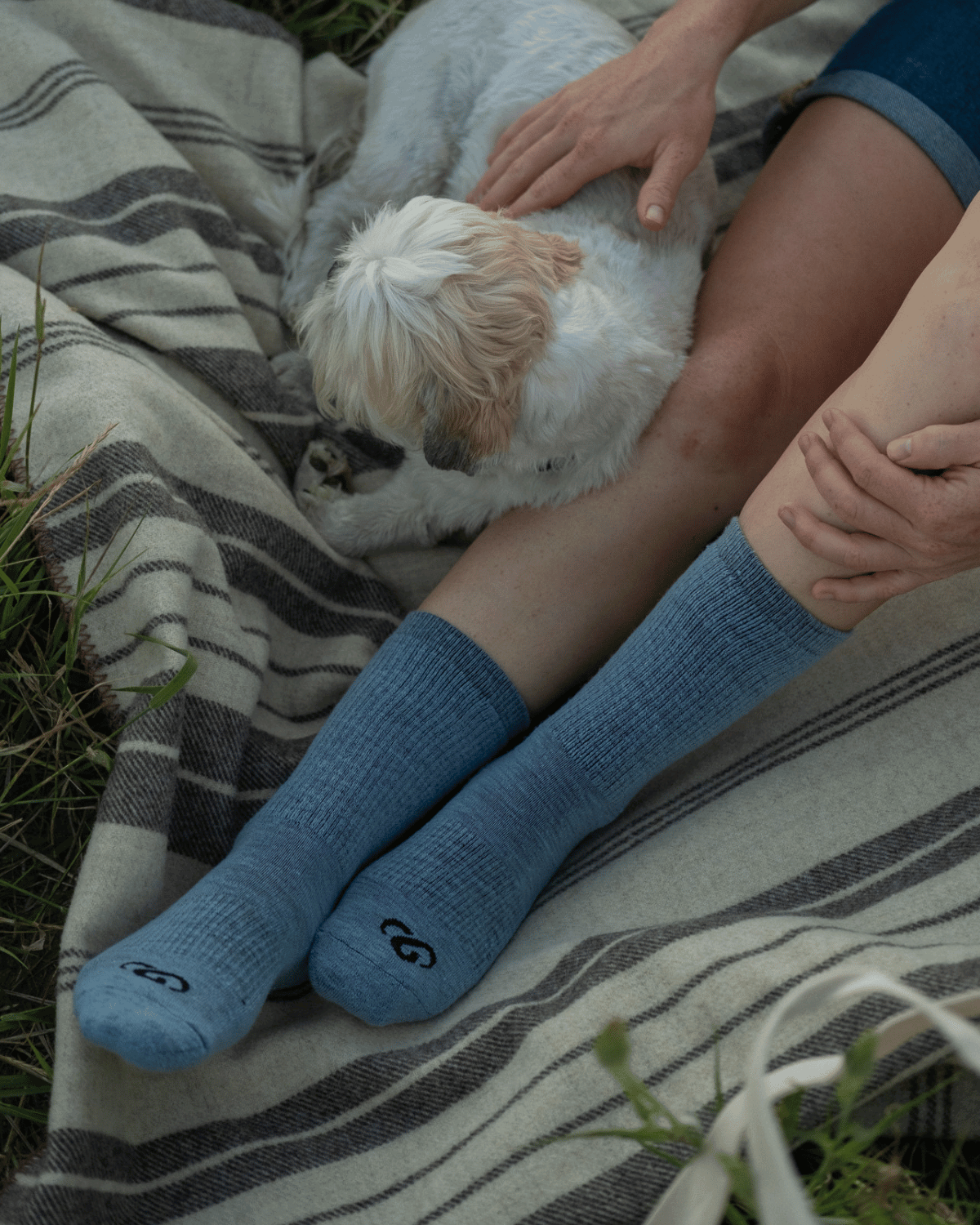 The Solid Casual Crew Sock