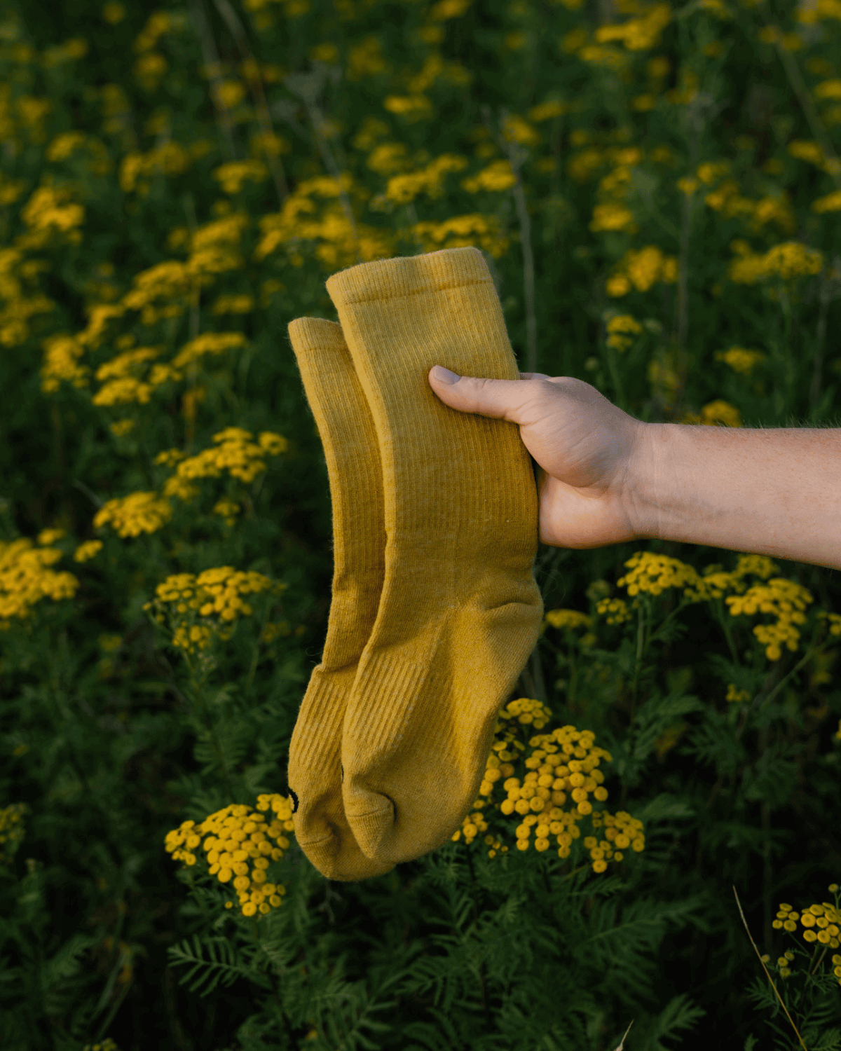 The Solid Casual Crew Sock