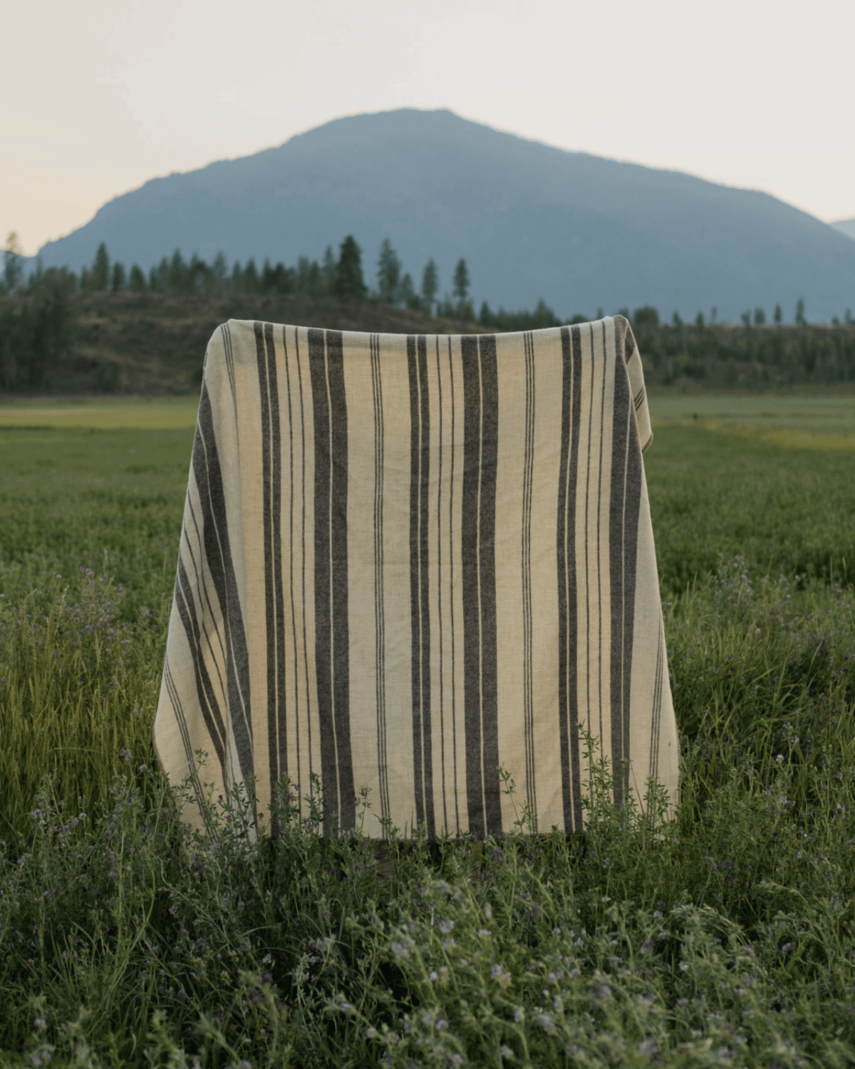 The Mohair Throw Blanket